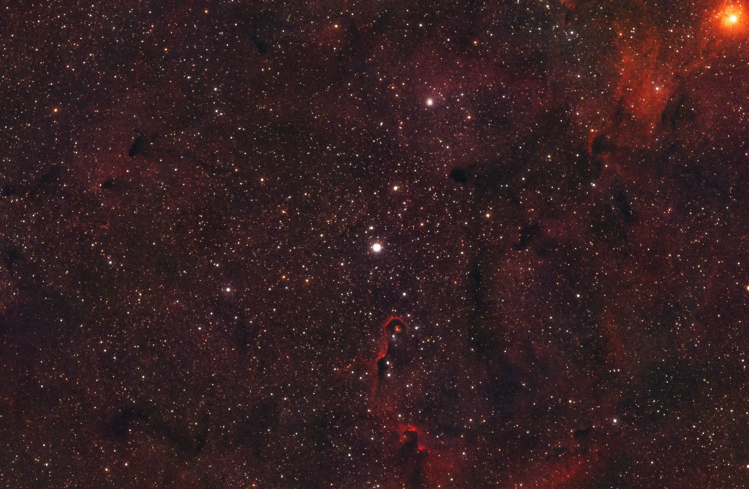 Elephant's Trunk Nebula (IC 1396A)