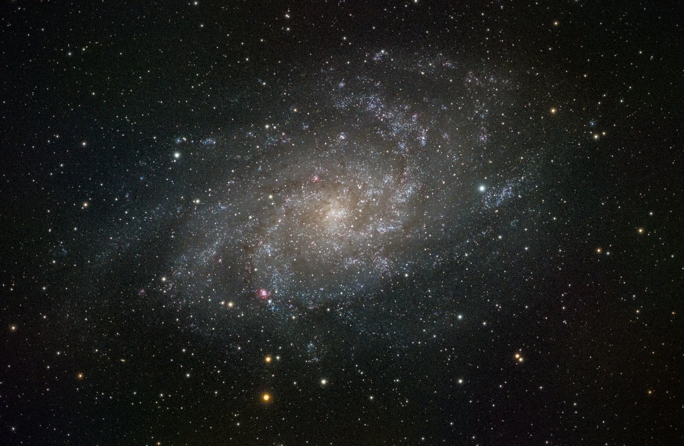 Triangulum Galaxy (M33)
